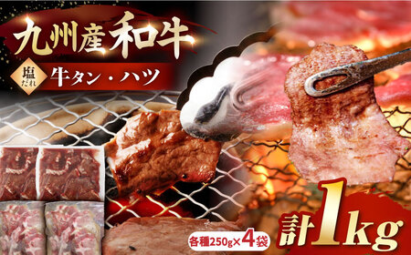 【塩だれ牛タン】九州産和牛1kg！牛タン・ハツ（各約250g×2袋） [EAX128] 牛タン 長与町