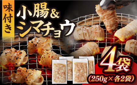 【塩だれ】 九州産和牛 ホルモン 2種 計1kg（ シマチョウ 250g×2袋・ 小腸 250g×2袋） 長与町/岩永ホルモン [EAX146]国産 牛肉 ミックス 小分け 味付き 冷凍 焼肉