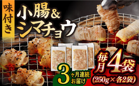【全3回定期便】【塩だれ】 九州産和牛 ホルモン 2種 計1kg（ シマチョウ 250g×2袋・ 小腸 250g×2袋） 長与町/岩永ホルモン [EAX147]国産 牛肉 ミックス 小分け 味付き 冷凍 焼肉