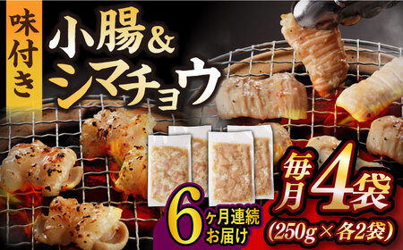 【全6回定期便】【塩だれ】 九州産和牛 ホルモン 2種 計1kg（ シマチョウ 250g×2袋・ 小腸 250g×2袋） 長与町/岩永ホルモン [EAX148]国産 牛肉 ミックス 小分け 味付き 冷凍 焼肉