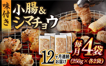 【全12回定期便】【塩だれ】 九州産和牛 ホルモン 2種 計1kg（ シマチョウ 250g×2袋・ 小腸 250g×2袋） 長与町/岩永ホルモン [EAX149]国産 牛肉 ミックス 小分け 味付き 冷凍 焼肉