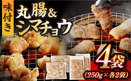 【塩だれ】九州産和牛 ホルモン 2種 計1kg（ シマチョウ 250g×2袋・ 丸腸 250g×2袋） 長与町/岩永ホルモン [EAX150]国産 牛肉 ミックス 小分け 味付き 冷凍 焼肉
