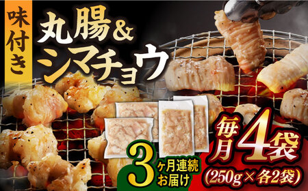 【全3回定期便】【塩だれ】九州産和牛 ホルモン 2種 計1kg（ シマチョウ 250g×2袋・ 丸腸 250g×2袋） 長与町/岩永ホルモン [EAX151]国産 牛肉 ミックス 小分け 味付き 冷凍 焼肉