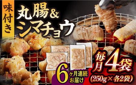 【全6回定期便】【塩だれ】九州産和牛 ホルモン 2種 計1kg（ シマチョウ 250g×2袋・ 丸腸 250g×2袋） 長与町/岩永ホルモン [EAX152]国産 牛肉 ミックス 小分け 味付き 冷凍 焼肉