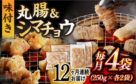 【全12回定期便】【塩だれ】九州産和牛 ホルモン 2種 計1kg（ シマチョウ 250g×2袋・ 丸腸 250g×2袋） 長与町/岩永ホルモン [EAX153]国産 牛肉 ミックス 小分け 味付き 冷凍 焼肉