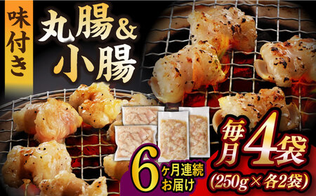【全6回定期便】【塩だれ】 九州産和牛 ホルモン 2種 計1kg（ 小腸 250g×2袋・ 丸腸 250g×2袋） 長与町/岩永ホルモン [EAX156]国産 牛肉 ミックス 小分け 味付き 冷凍 焼肉