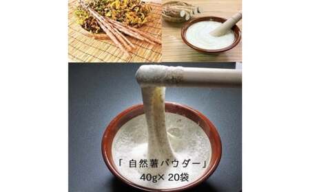 自然薯をおろさなくていいんです！自然薯パウダー 40g×20袋 水で溶いて手軽に召し上がれるフリーズドライの粉末 山芋 [0205]