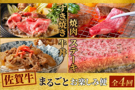 【スピード発送】【4回定期便】佐賀牛 まるごと欲張り お楽しみ便(合計3kg)(H085146)