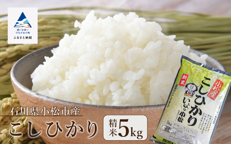 こしひかり 5kg 令和7年産 こしひかり 石川県 小松産