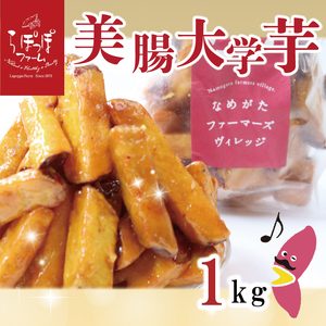 【2025年12月中旬より順次発送】らぽっぽファーム【工場直送】美腸大学いも 1kg｜さつまいも 大学芋 芋 サツマイモ だいがくいも スイーツ お菓子 冷凍 美腸大学芋 人気 送料無料 茨城県 行方市 らぽっぽファーム(CQ-19)