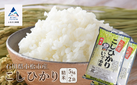 こしひかり 10kg 令和7年産 こしひかり 石川県 小松産 JA小松市