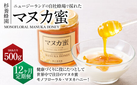 【12ヶ月定期便】 ニュージーランド産 マヌカ蜜 約500g 瓶