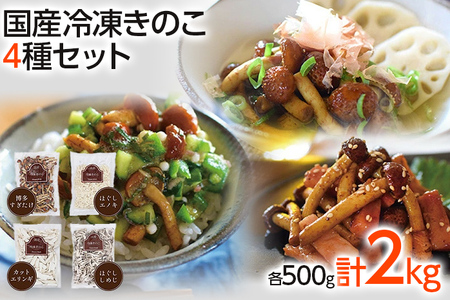 冷凍きのこセット500g×4（博多すぎたけ・しめじ・えのき・エリンギ）　AU03