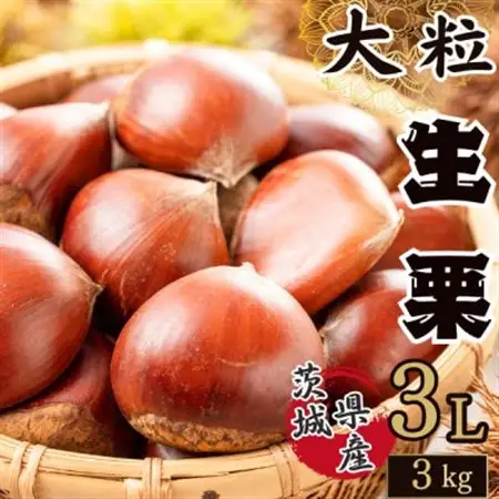 2026年産!大粒生栗 先行予約受付中 かすみがうら市産　生栗　3Lサイズ 3kg_栗 クリ かすみがうら市産 大粒 先行受付_【配送不可地域：離島】【1437717】