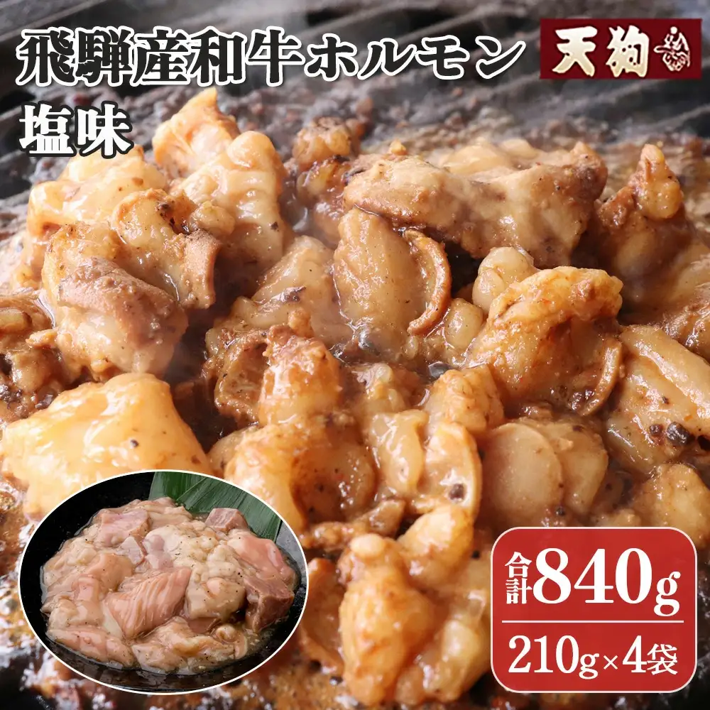 飛騨産和牛ホルモン 塩味 210g×4袋【11-73】