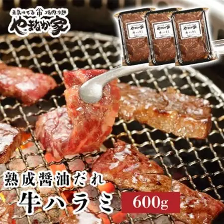 やまなか家の旨みたっぷり牛ハラミ【熟成醤油だれ】600g(K2-028)_肉 焼肉 牛肉 やきにく ヤキニク バーベキュー_【配送不可地域：離島】【1405429】