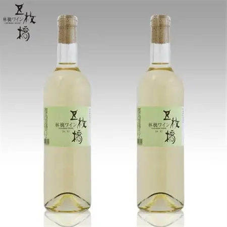 五枚橋ワイナリーのふじ林檎ワイン2本セット_酒・アルコール  ワイン _【1413312】