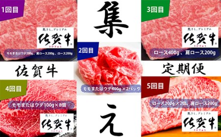 【5回定期便】佐賀牛堪能セット【フルーム】[FAZ013]