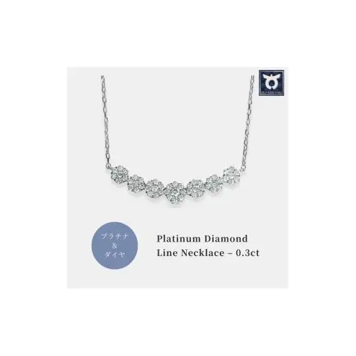 プラチナ ダイヤ ラインネックレス 0.3CT　N376DI-P