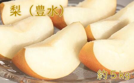 梨（豊水）（約５kg）【2026年発送分】