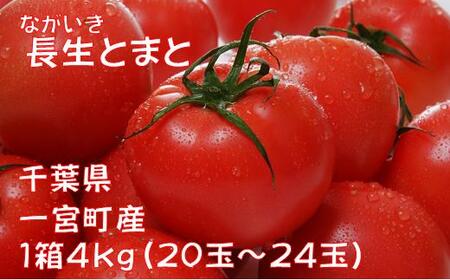 長生（ながいき）とまと１箱（20～24個（約4kg））　先行予約