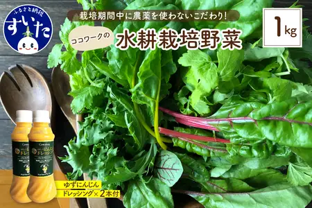 ココワークの水耕栽培野菜 約1kg ゆず人参ドレッシング2本 セット 栽培期間中 農薬不使用【大阪府吹田市】さっと洗うだけ 食べやすい お取り寄せ