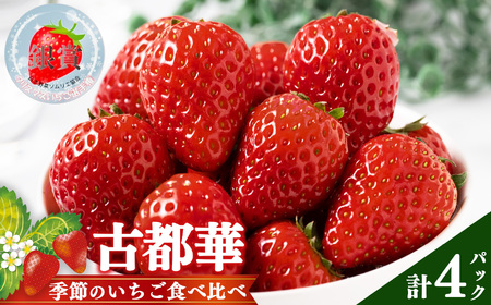 「古都華」＆「季節のいちご」食べ比べセット（2パックずつ） 計4パック | フルーツ くだもの 果物 いちご イチゴ ことか コトカ 古都華 奈良県 五條市