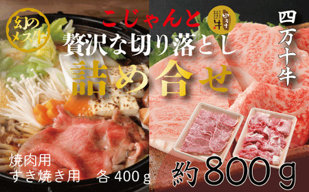 26-020．幻のメス牛　四万十牛こじゃんと贅沢な詰め合せ(焼肉用・すき焼き用)計800ｇ