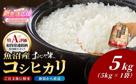 【令和7年 コシヒカリ】魚沼産コシヒカリ「おぢや米」 クラフト 5kg（5キロ×1）| 新潟県 小千谷市