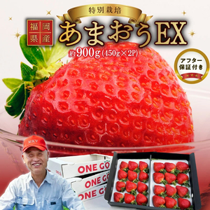 【2027年1月より順次発送】ギフト配送 約450g×2パック EX 福岡県産あまおう〈特別栽培〉_福岡県産 あまおう 約450g×2パック エコファーマー 土づくり 化学合成農薬 化学肥料 低減 特別栽培 ギフト配送 希少価値 EX イチゴ フルーツ デザート 甘い 果汁 贈り物 果物 お取り寄せ 福岡県 久留米市 冷蔵発送 送料無料 〔Fi063〕