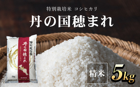 ＜令和7年産＞ 特別栽培米 コシヒカリ 丹の国穂まれ(精米5kg) ふるさと納税 コメ 米 お米 精米 減農薬 有機肥料 【fc-CR004】【京都丹の国農業協同組合】