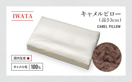 枕 キャメル IWATA 高さ3cm ラクダ まくら 職人 滋賀 愛荘