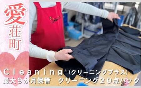 クリーニング２０点パック BH02_X1