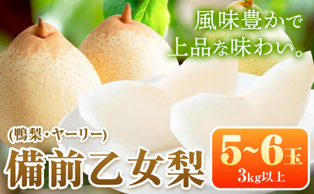 【先行予約】梨 なし 乙女梨 5～6玉 3kg 以上 石原果樹園 なし フルーツ 果物 新鮮《11月中旬-12月下旬頃より発送予定》岡山県 浅口市 果物 フルーツ 梨 鴨梨 備前乙女梨 ヤーリー