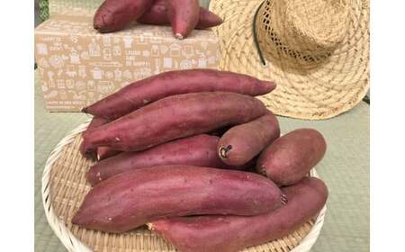 【先行予約】【令和8年12月発送】焼き芋好きのためのさつま芋　紅はるか5kg【茨城県共通返礼品・行方市産】（KBE-58）