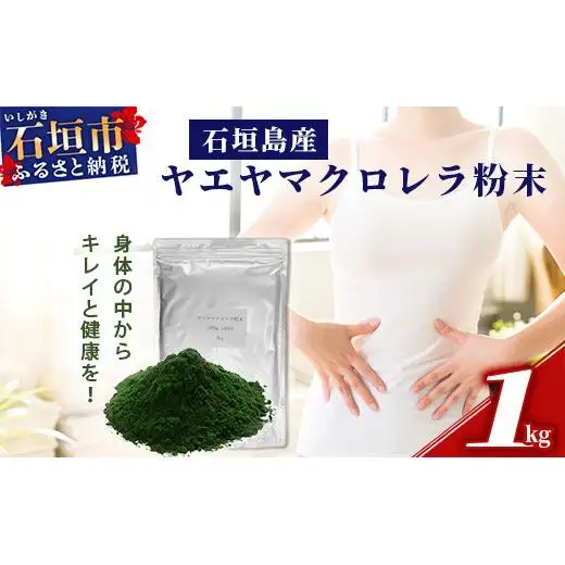 石垣島産ヤエヤマクロレラ粉末（1kg）AR-3