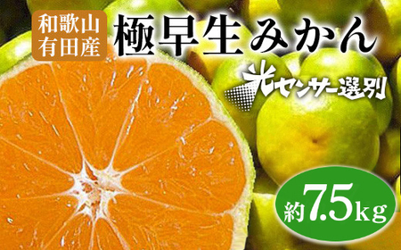 【先行予約】こだわりの極早生みかん 約7.5kg 農家直送 有機質肥料100% サイズ混合 ｜ みかん 極早生 早生 柑橘 果物 くだもの 果実 フルーツ 和歌山 有田