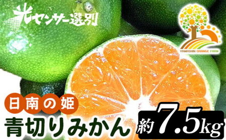 【先行予約】こだわりの青切りみかん 約7.5kg 農家直送 有機質肥料 100% サイズ混合 ｜ みかん