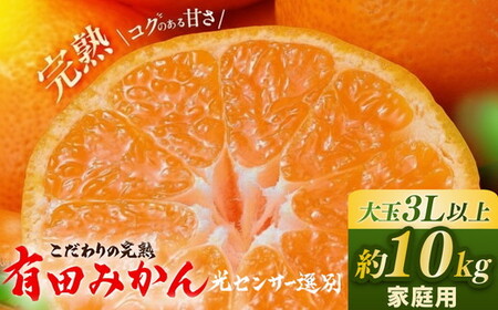 有田みかん 約10kg 大玉3L以上 有機質肥料100% ＼光センサー選別／ 農家直送 ｜ みかん