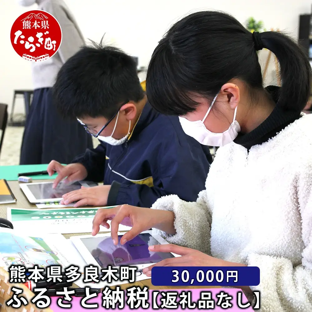 熊本県多良木町への寄附（返礼品はありません）【 ふるさと納税 熊本県 多良木町 応援 寄附 】028-0344-30