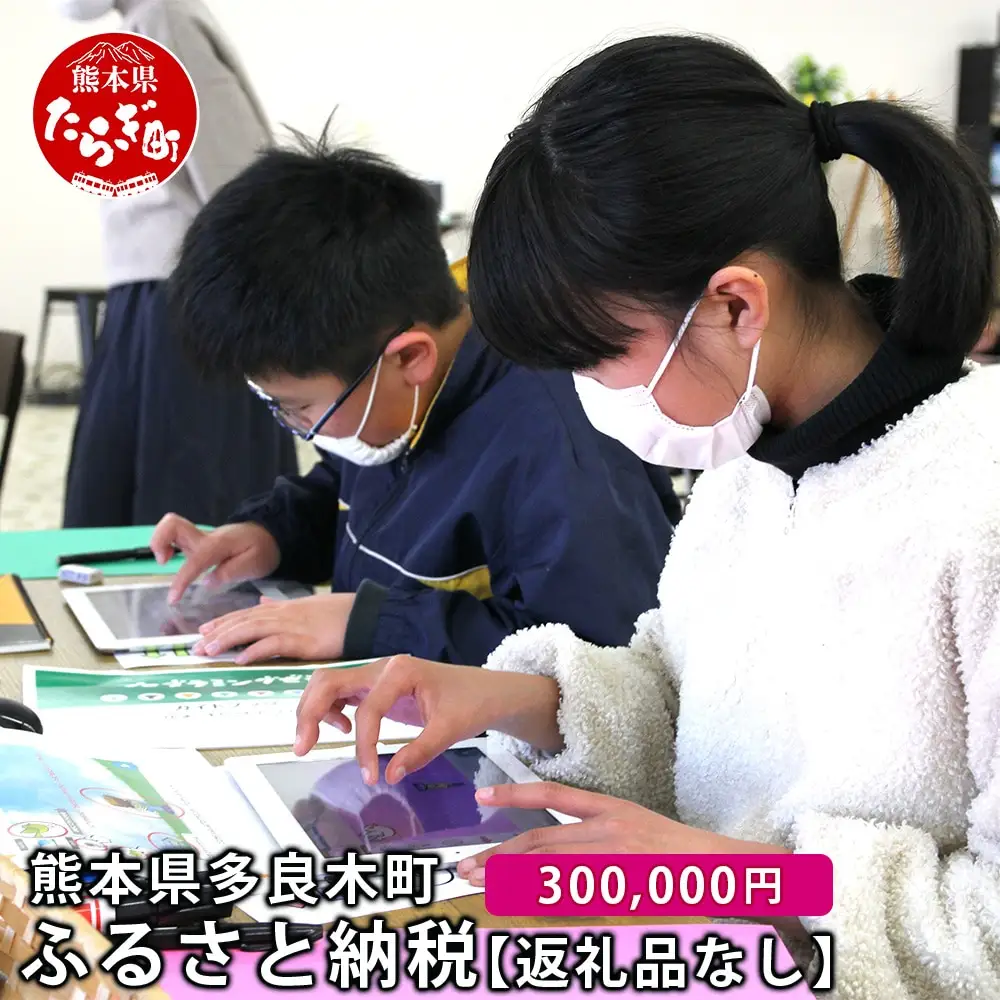 熊本県多良木町への寄附（返礼品はありません）【 ふるさと納税 熊本県 多良木町 応援 寄附 】028-0344-300