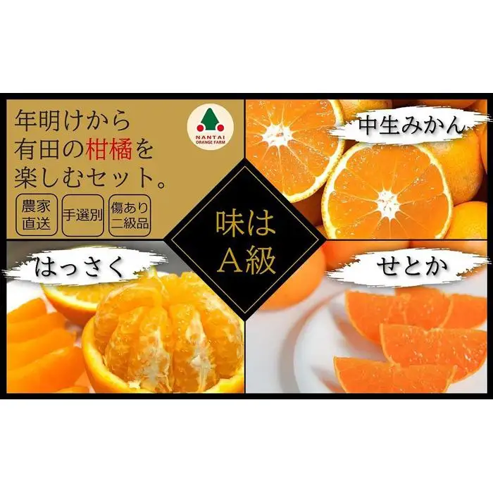 定期便 年明けから有田の柑橘を楽しむセット 南泰園