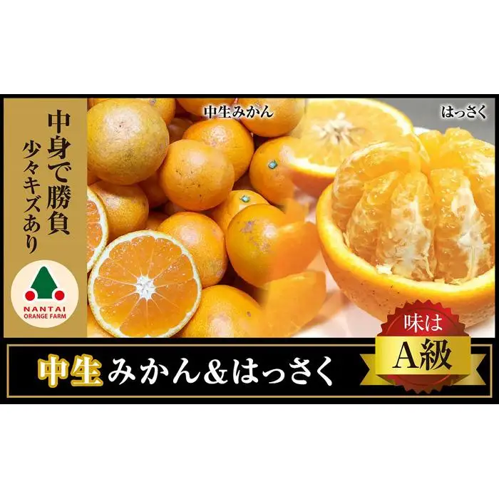 定期便 手さげ箱 セット 中生 有田みかん ＆ はっさく 全2回 南泰園
