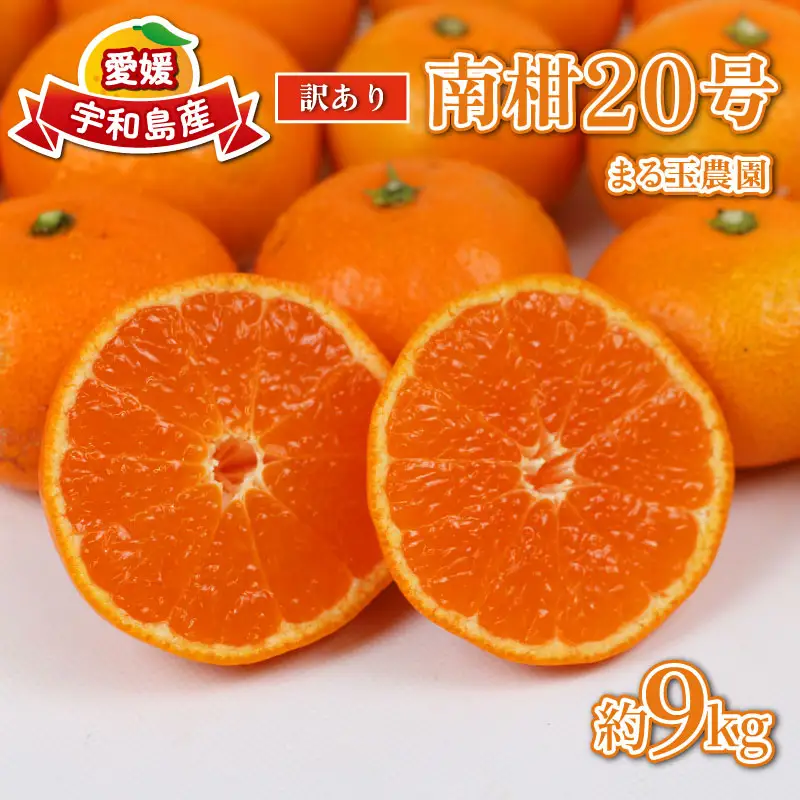 訳あり みかん 南柑20号 9kg まる玉農園 ﾐｶﾝﾐｶﾝﾐｶﾝﾐｶﾝﾐｶﾝﾐｶﾝﾐｶﾝﾐｶﾝﾐｶﾝﾐｶﾝﾐｶﾝﾐｶﾝ B010-172001