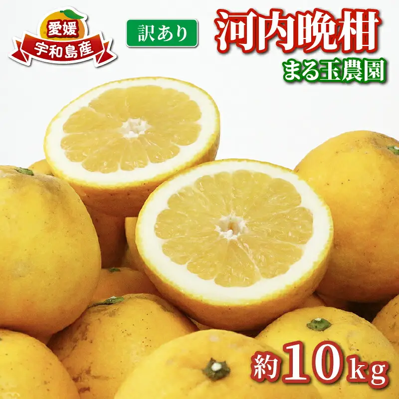 訳あり 河内晩柑 10kg まる玉農園 訳アリ河内晩柑 みかん B010-172003