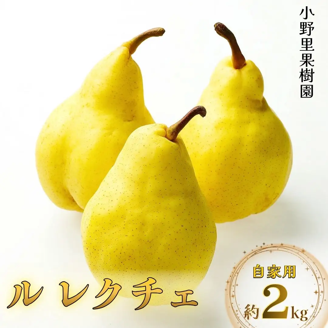 先行予約 洋梨 ル レクチェ 自家用 約2kg(5~7個) 新潟県産 ル・レクチェ 洋梨 小野里果樹園