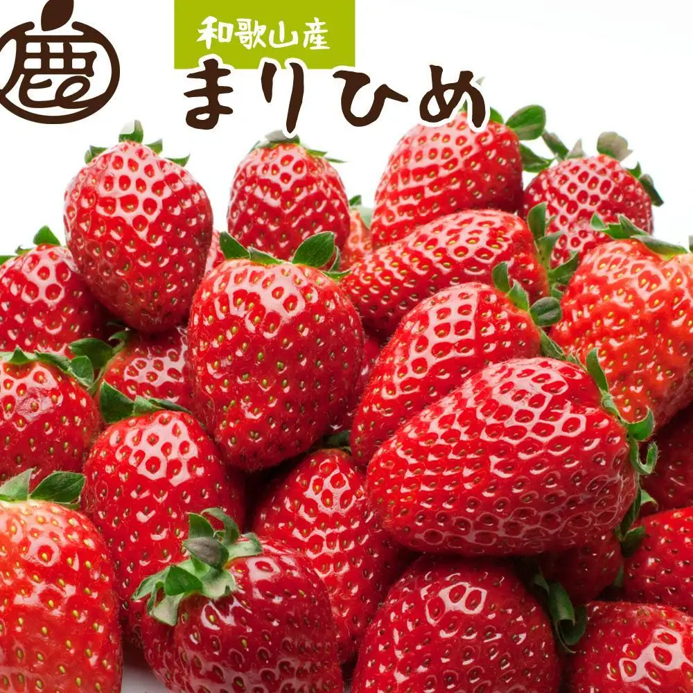 朝摘み完熟まりひめ約1.2kg（300g前後×4トレイ）［和歌山ブランド苺まりひめ］［こだわりの土耕栽培のいちごを農家直送］［IKE97］