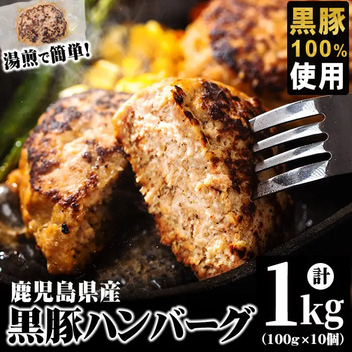 鹿児島県黒豚 100%使用 黒豚ハンバーグ(計1kg・100g×10個) a1-092