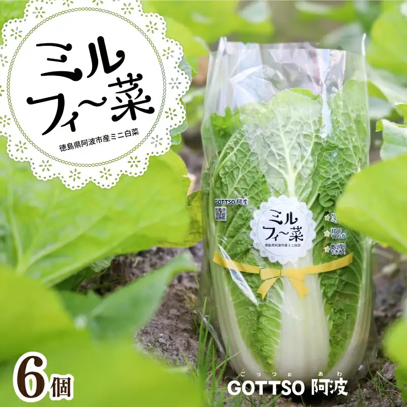 ミニ白菜 ミルフィ〜菜 6個セット 白菜 はくさい 野菜
