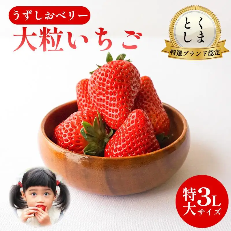 いちご 苺 30粒 3L サイズ うずしおベリー いちご